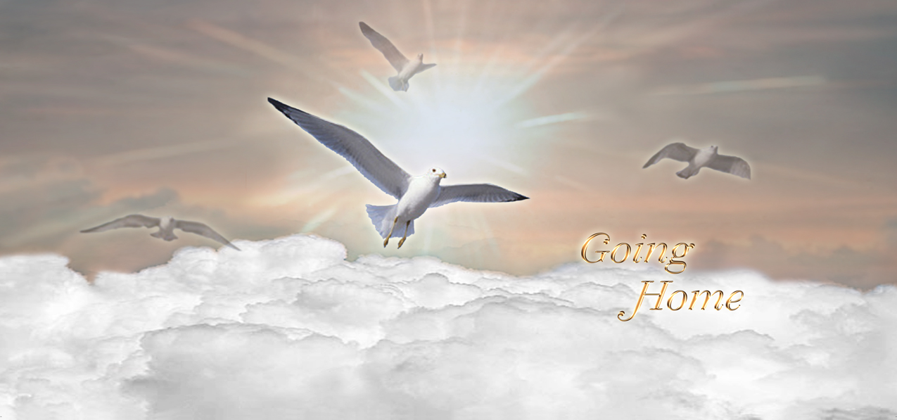 Going Home Clouds Bronze